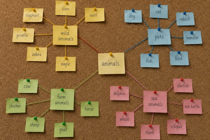 A corkboard concept map of pinned notes: the word animals at the centre, linked by coloured string to wild animals, pets, farm animals and sea animals, each with its own examples